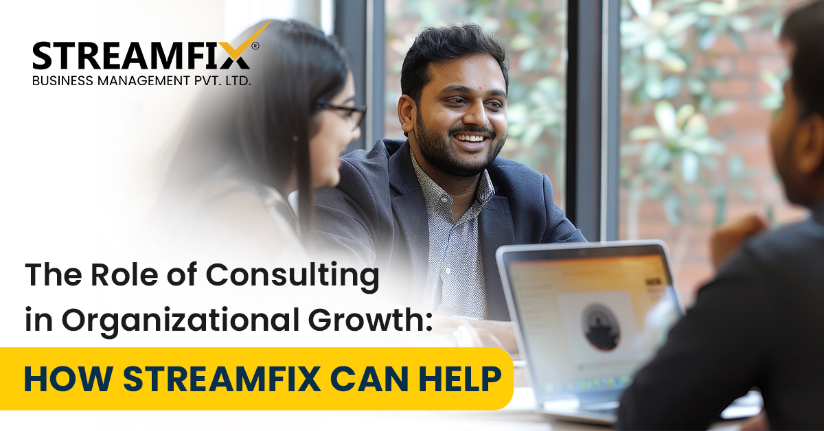 The Role of Consulting in Organizational Growth: How Streamfix Can Help